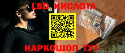 гашик Будённовск
