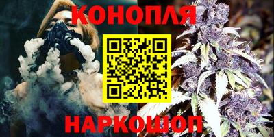 гашик Будённовск