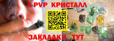 гашик Будённовск