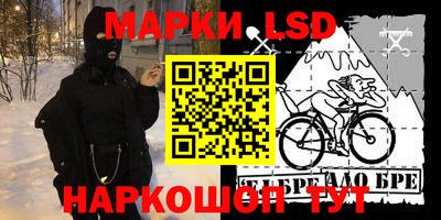гашик Будённовск