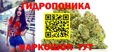 гашик Будённовск