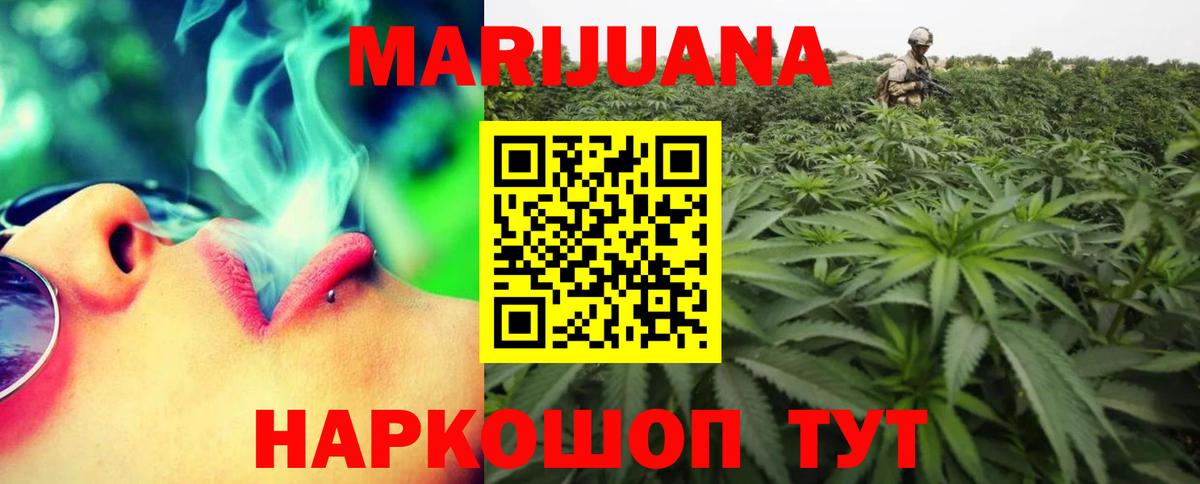 Бошки Шишки план Богданович